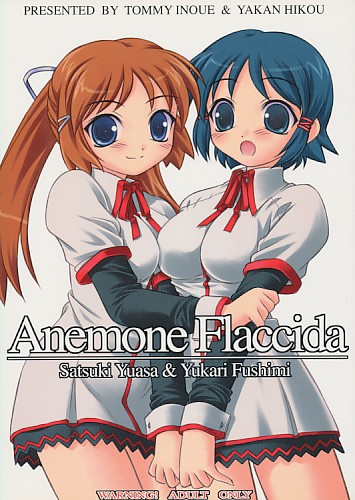 Anemone Flaccida