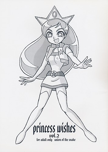 princess wishes vol.2