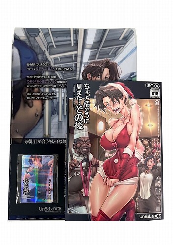 コミケ106・3点セット（トレカ+クリアファイルバッグ+ちょっと怖そうに見えた…その後）