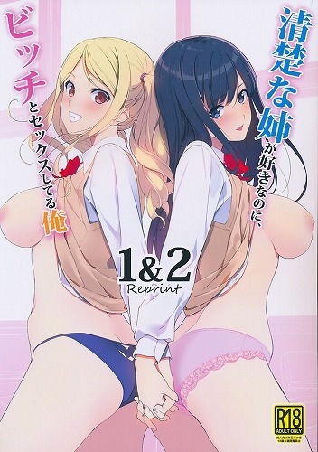 清楚な姉が好きなのに、ビッチとセックスしてる俺 1＆2