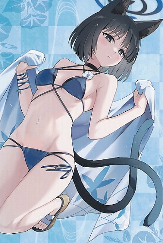 コミとれ46　ポストカード