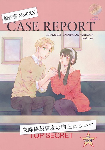 報告書 No：0XX 夫婦偽装練度の向上について