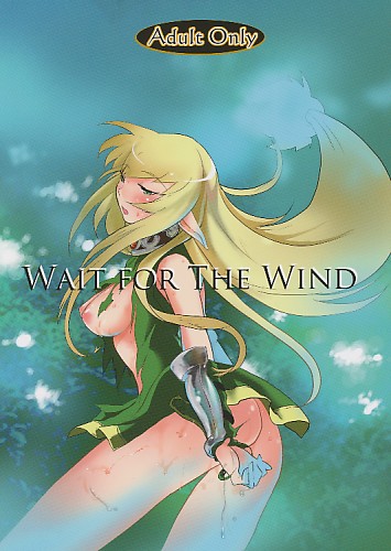 WAIT FOR THE WIND