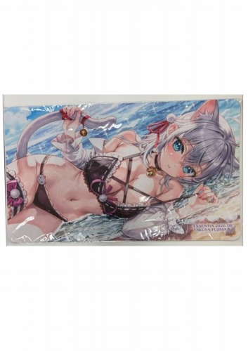 C108  ESSENTIA 水遊びアーリャ プレイマット