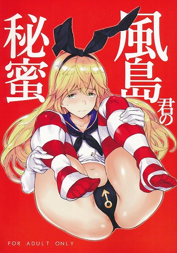 風島君の秘蜜