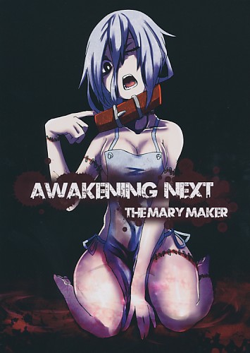 AWAKENING NEXT THE MARY MAKER