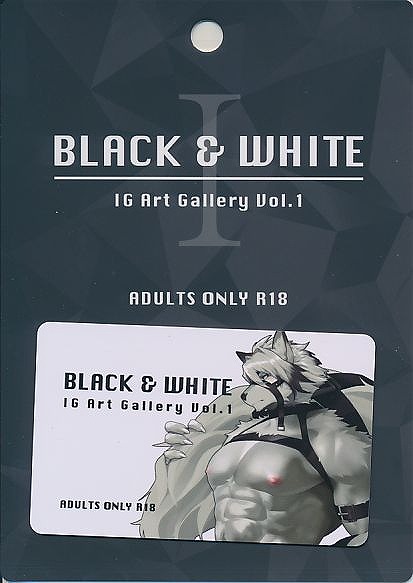 BLACK&WHITE IG Art Gallery Vol.1