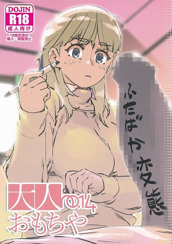 大人のおもちや 14
