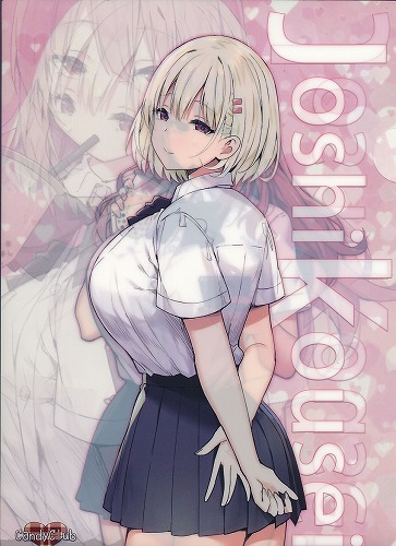 オリジナルA4クリアファイル