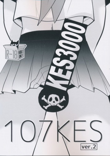 107KES ver.2