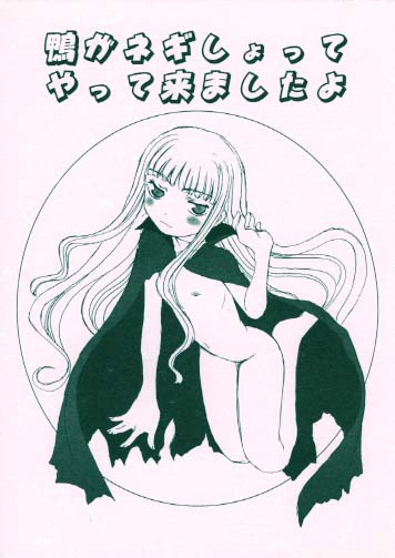 鴨がネギしょってやってきましたよ（表紙色違い有）