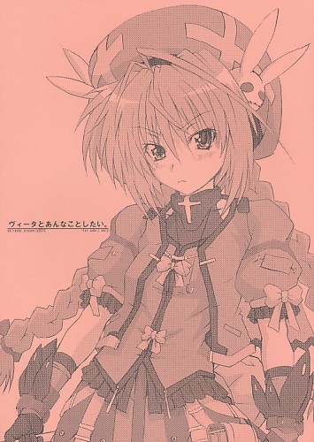 ヴィータとあんなことしたい