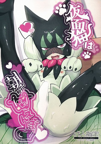 仮面猫は朝から甘えんぼ