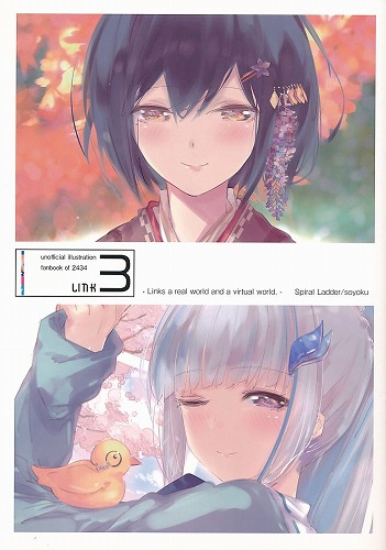 Link 3