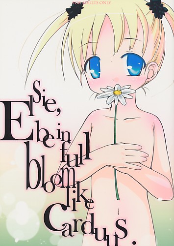Elsie.be in full bloom like carduus.