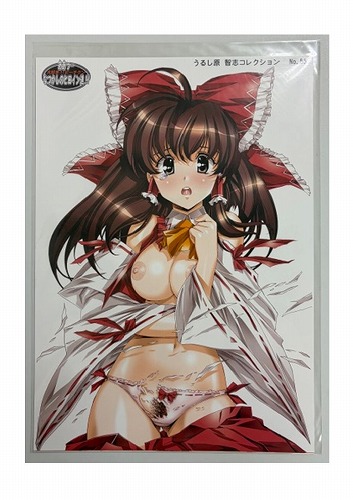 ポスターセット(6枚組) ああっ...なつかしのヒロイン達!! 11