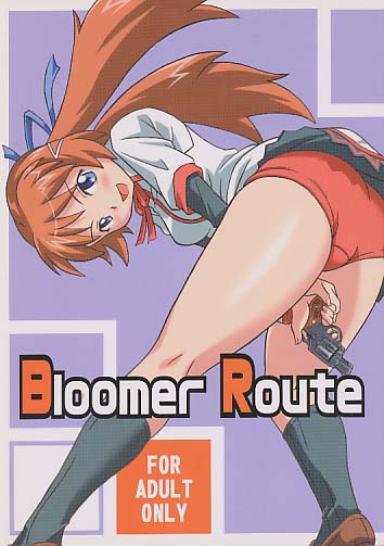 Bloomer Route