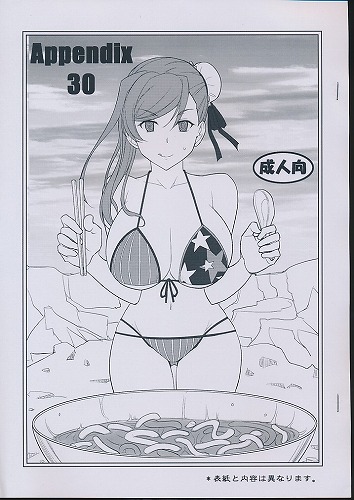 Appendix 30