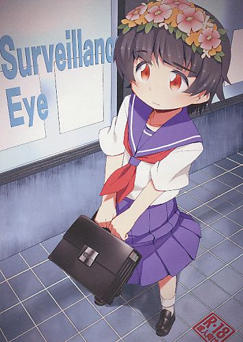Surveillance Eye