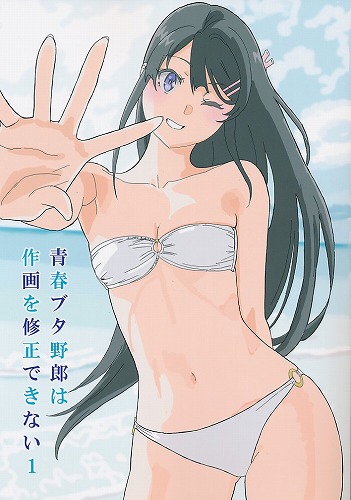 青春ブタ野郎は作画を修正できない Ⅰ