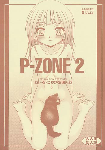 P-ZONE 2