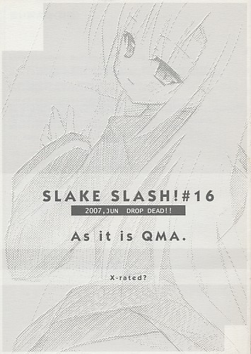 SLAKE SLASH #16