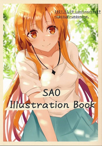 SAO　Illustration Book