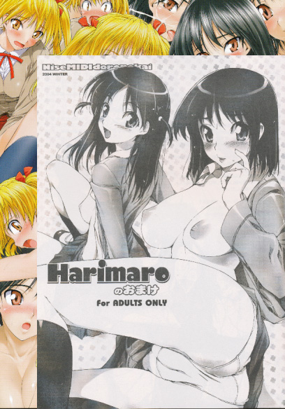 コミケ67・2点セット( Harimaro + Harimaroのおまけ )