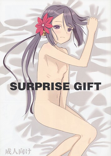 SURPRISE GIFT