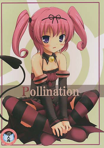 Pollinaiton