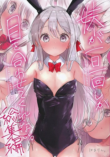 妹が一日一回しか目を合わせてくれない。 総集編