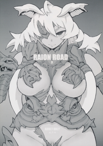 RAION ROAD3