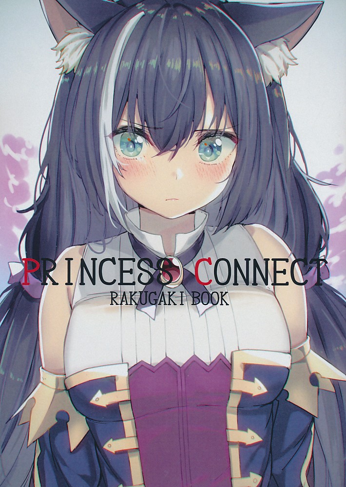 PRINCESS CONNECT RAKUGAKI BOOK