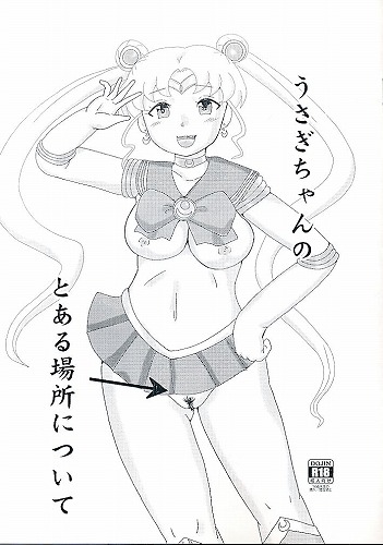 うさぎちゃんのとある場所について