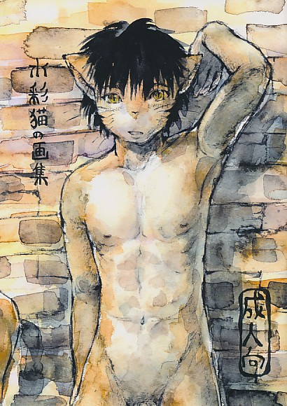 水彩猫の画集
