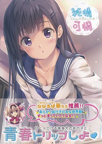 pasdar先生厳選画集 純情可憐