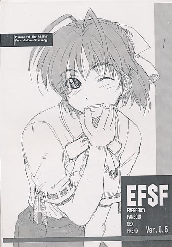 EFSF Ver 0.5