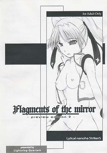 Flagments of the mirror