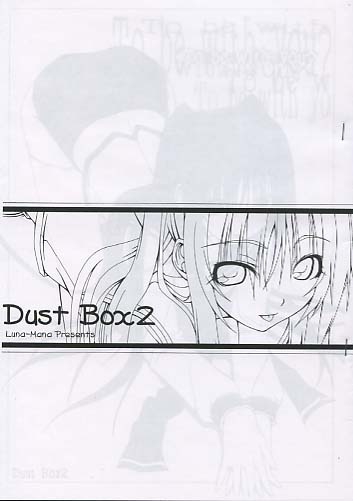 DustBox 2