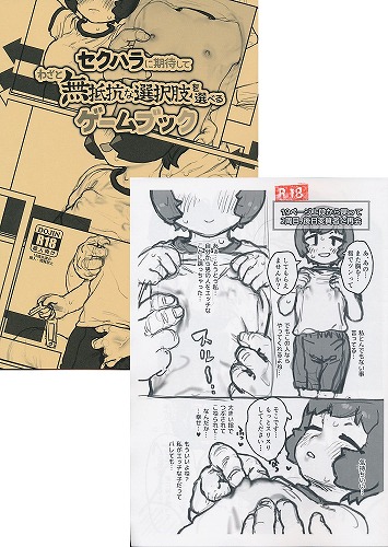 C106・2点セット(セクハラに期待してわざと無抵抗な選択肢を選べるゲームブック+紗和田かなこちゃんゲームブックおまけ本)